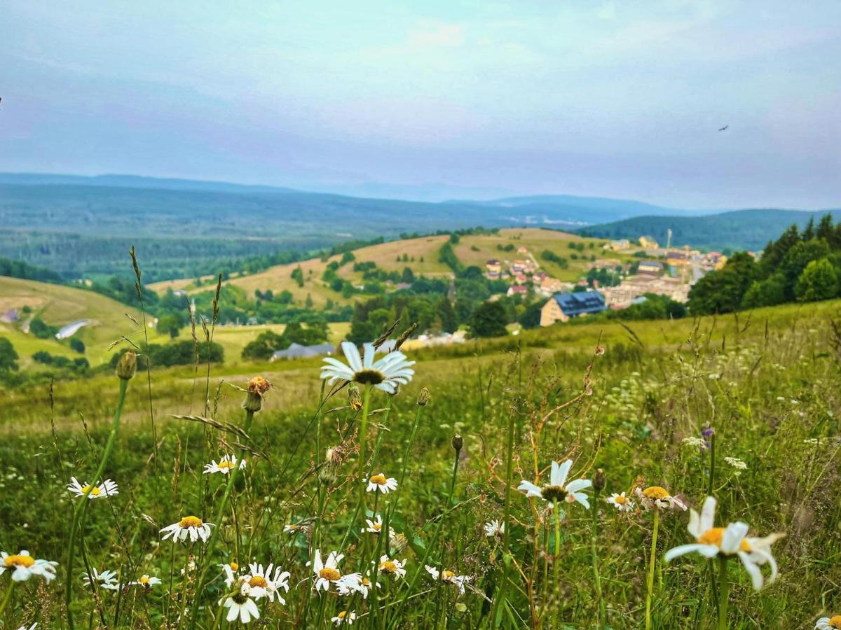 Skalka Zieleniec Otel Duszniki Zdrój Dış mekan fotoğraf
